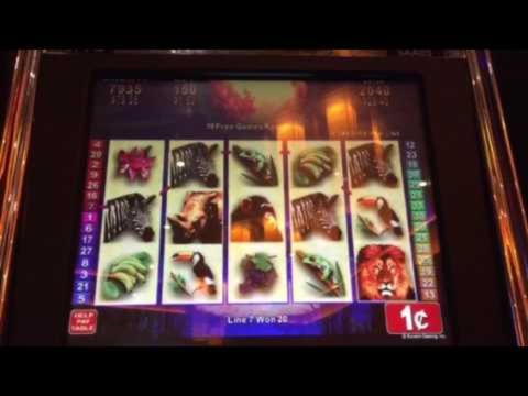 $2320 No Deposit Bonus Code at Malina Casino