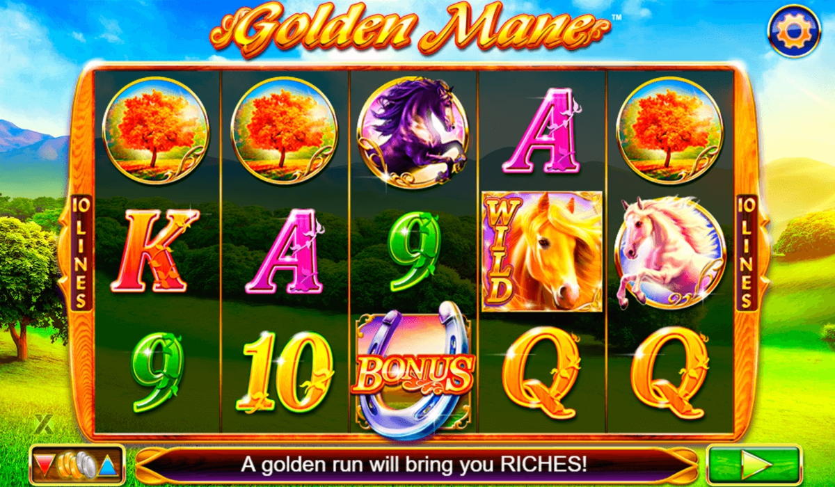 830% Match Bonus at Dunder Casino