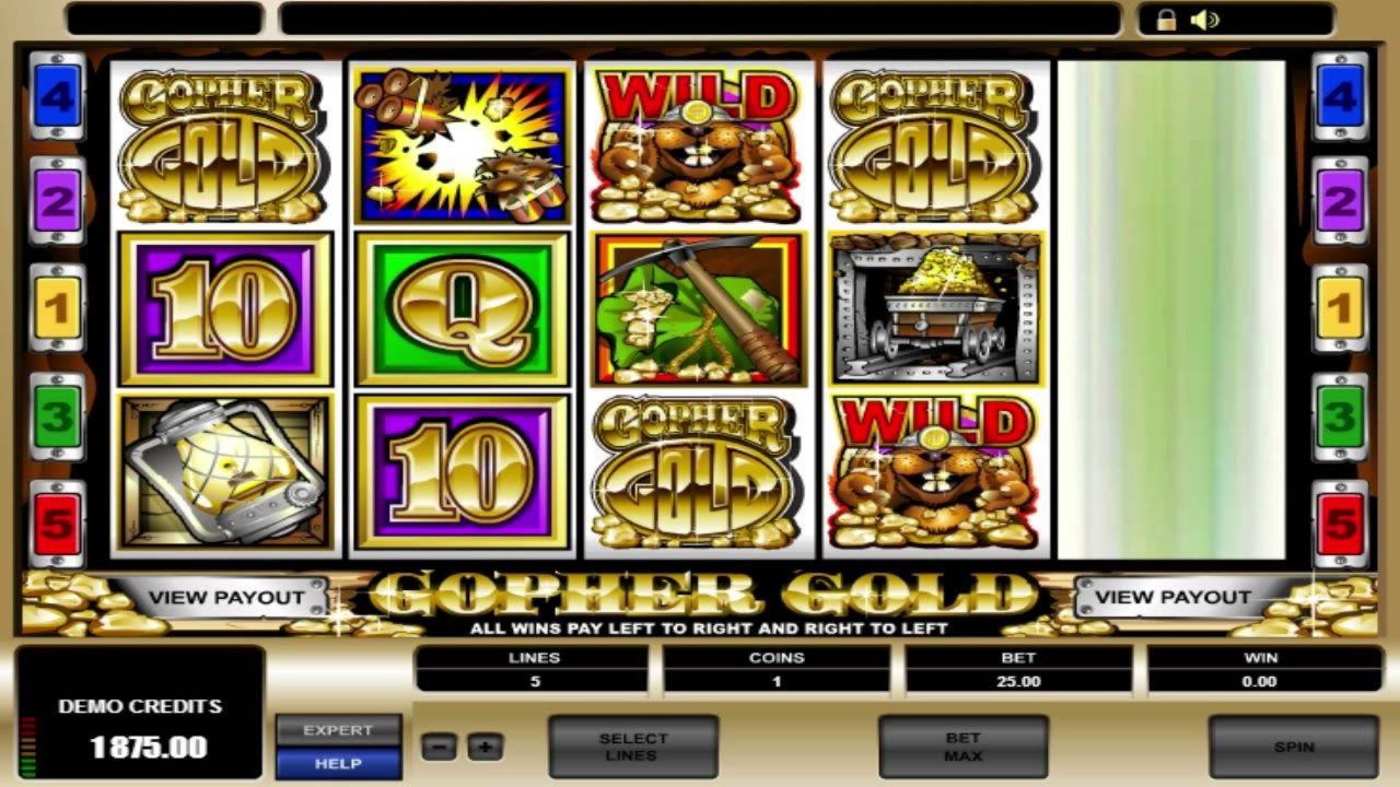 265% No Rules Bonus! at Slotty Dubai Casino