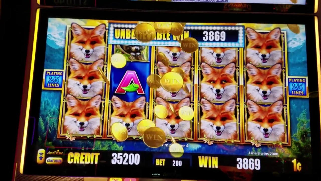 40% Match bonus casino at Campo Bet Casino