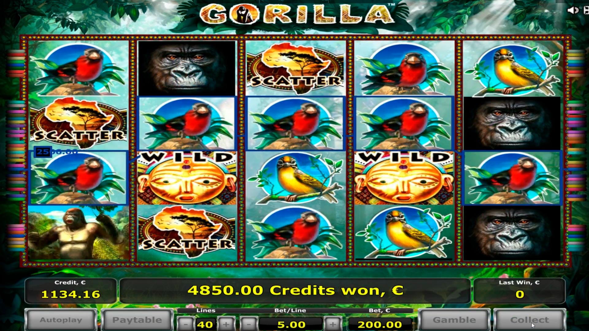 145 FREE SPINS at Platin Casino