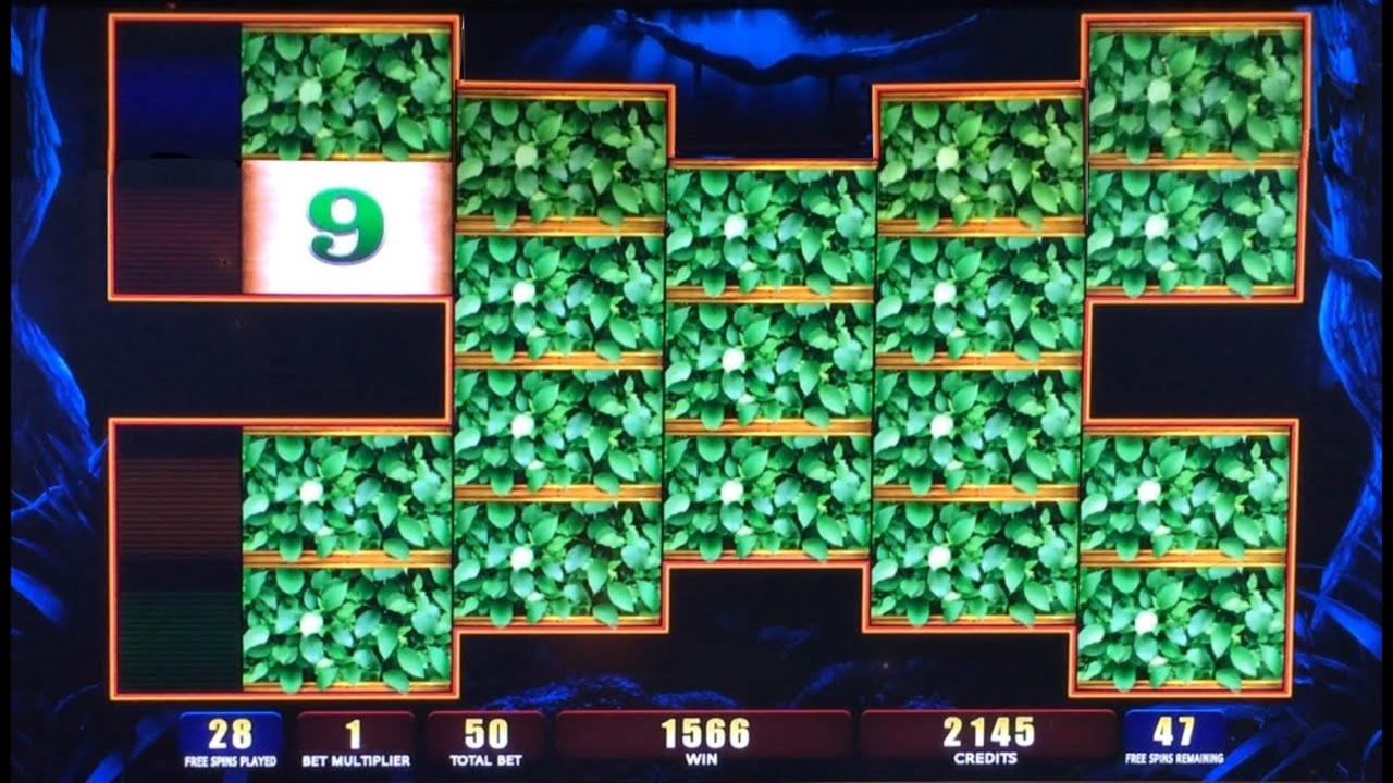 265% Match Bonus Casino at Campo Bet Casino
