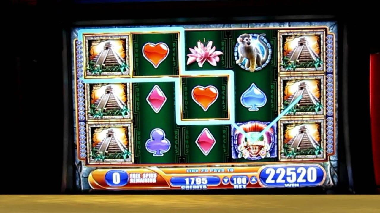 €220 Casino chip at Campo Bet Casino