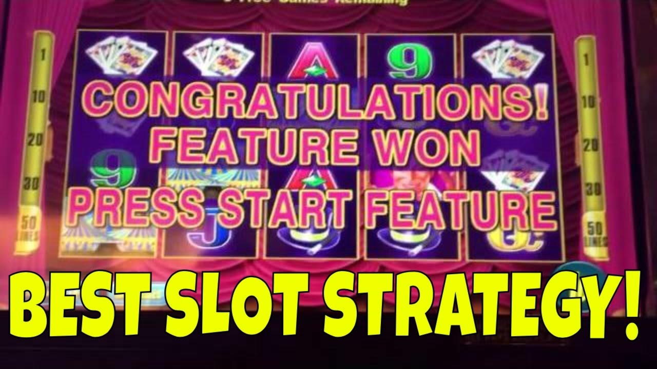EUR 3000 No Deposit Bonus at Slotty Dubai Casino