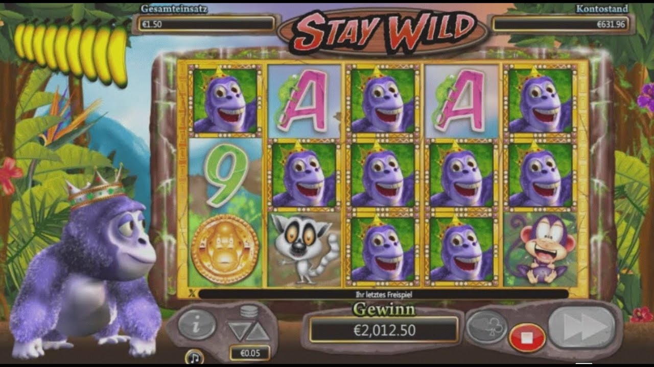 $505 Casino tournaments freeroll at Casino com