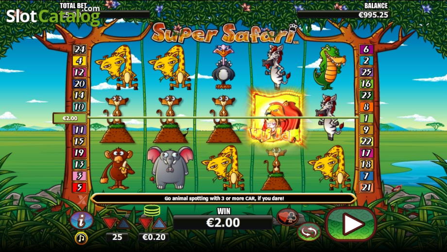 35% No Rules Bonus! at CasiPlay Casino