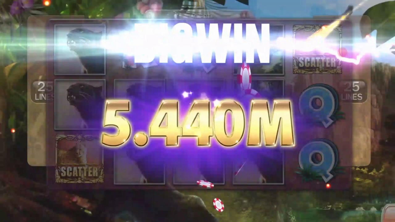 960% Signup Casino Bonus at Dunder Casino