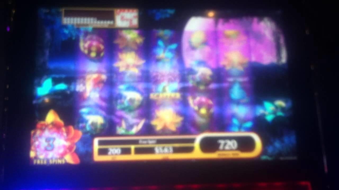€375 Free Cash at Malina Casino