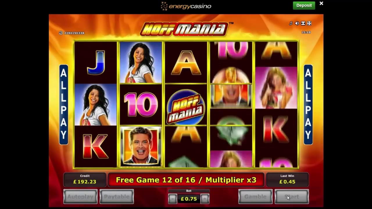 200 free spins at Campo Bet Casino