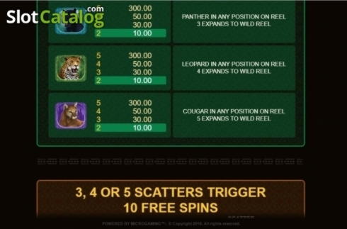 £60 FREE CASINO CHIP at Campo Bet Casino