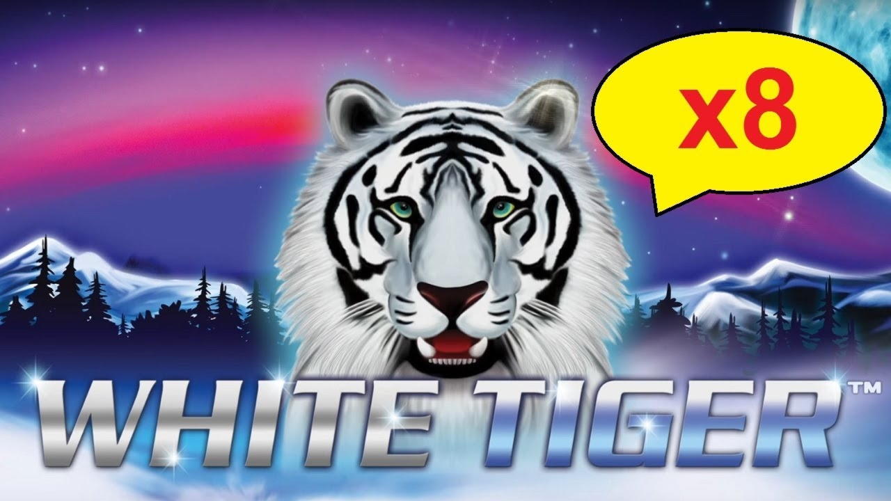 Eur 220 free chip casino at Wix Stars Casino