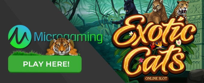 $470 free casino chip at Reload Bet Casino