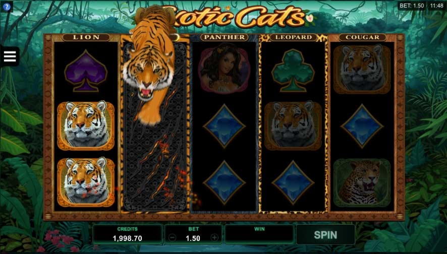$3610 No Deposit Bonus Code at Casino com