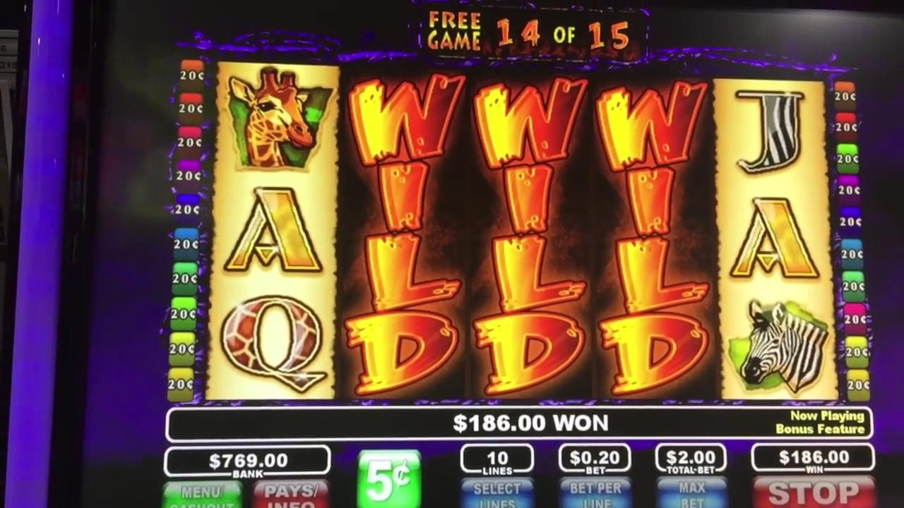 560% Match Bonus at CasiPlay Casino