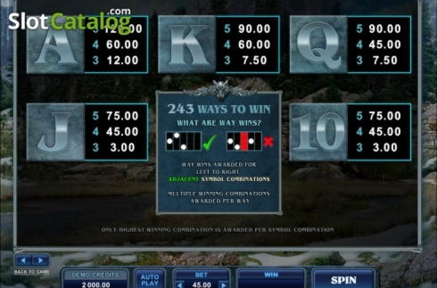 20 Free Spins no deposit at Campo Bet Casino