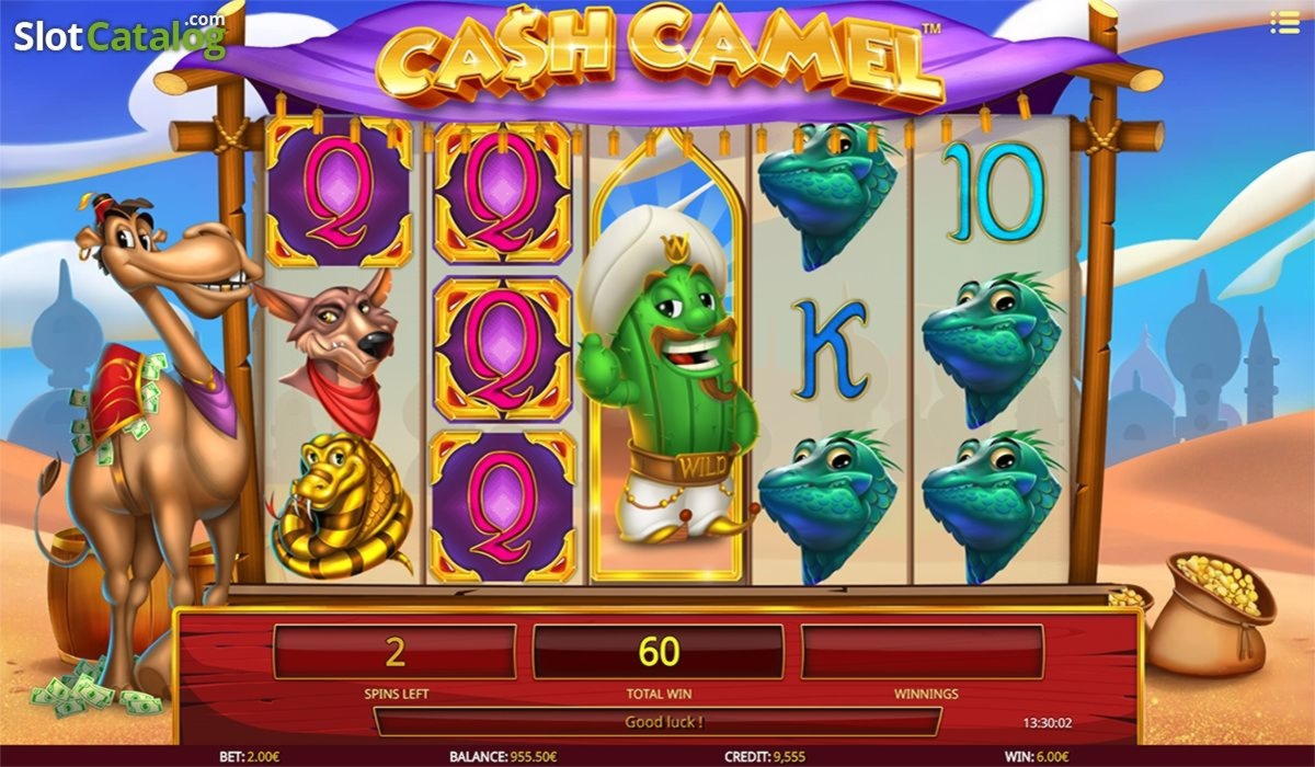 490% Best signup bonus casino at Campo Bet Casino