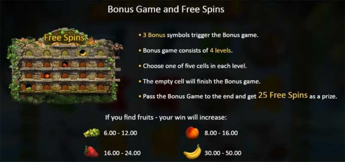 EURO 535 Free Cash at Platin Casino