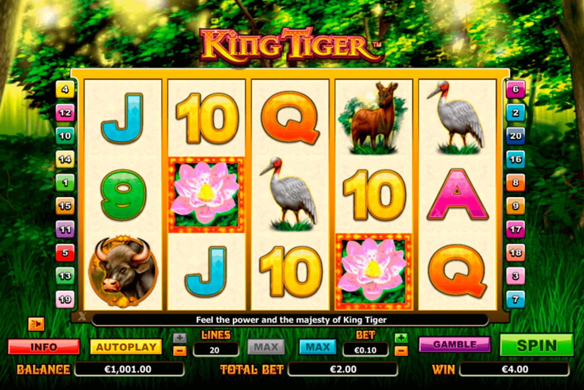£1225 No Deposit Bonus Code at Malina Casino