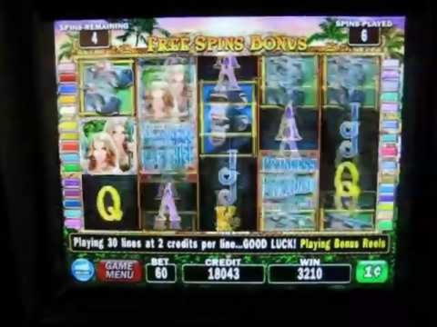 630% No Rules Bonus! at Casino com