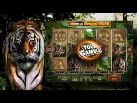€415 Mobile freeroll slot tournament at Unique Casino