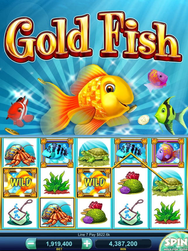 EUR 333 FREE CHIP at Campo Bet Casino