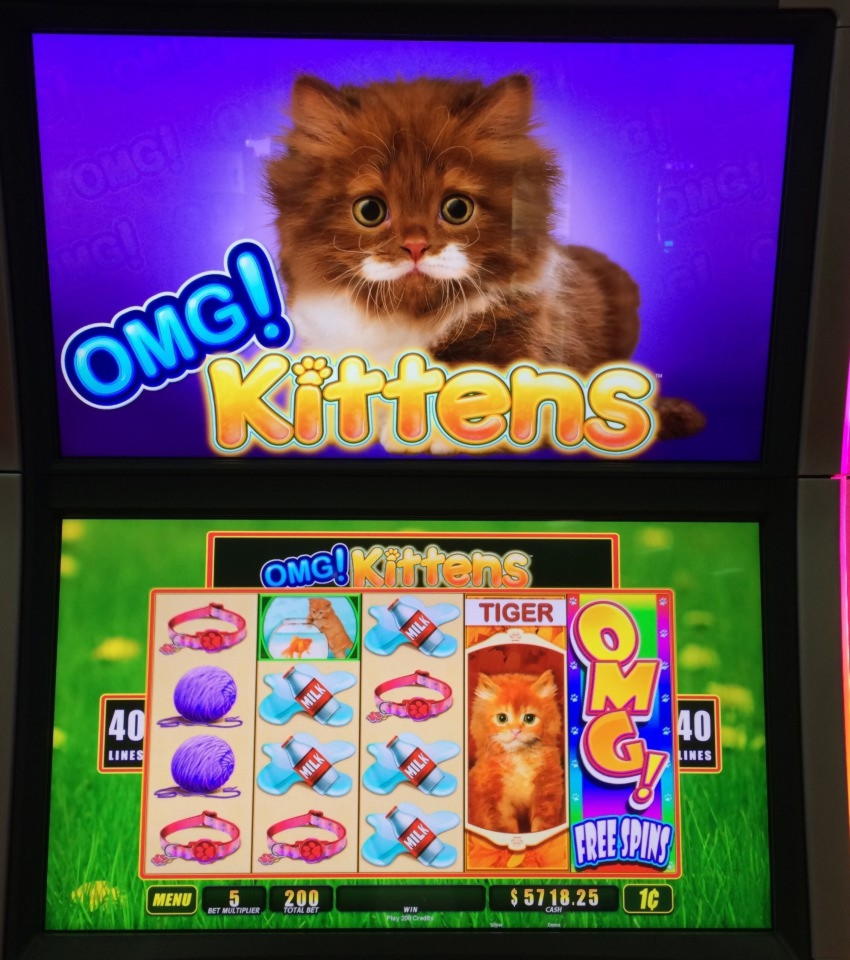 €885 Mobile freeroll slot tournament at 888 Casino