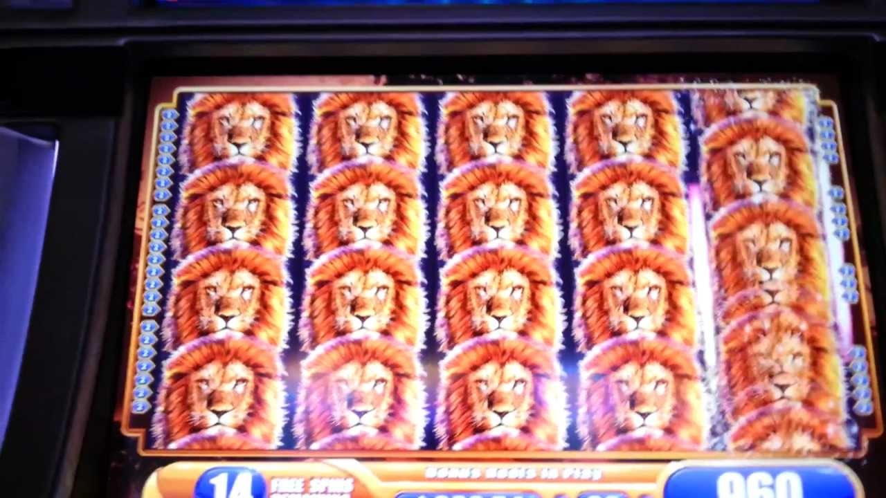 ﻿$445 no deposit bonus casino at Dunder Casino