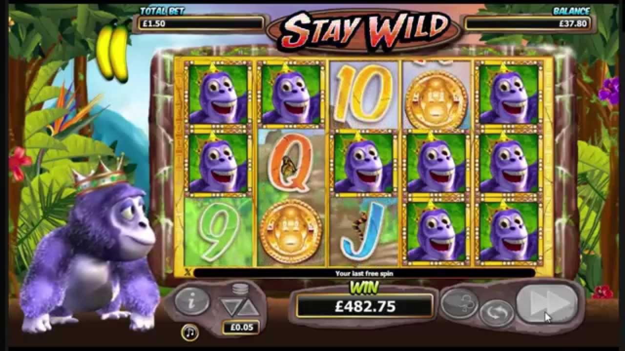 €685 casino chip at Unique Casino