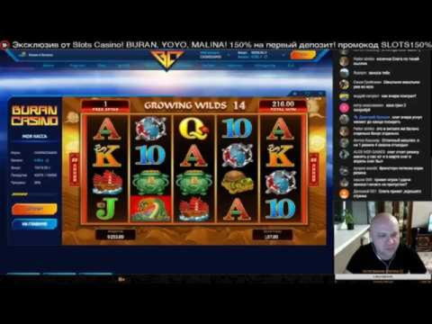 60 Loyal Free Spins! at CasiPlay Casino