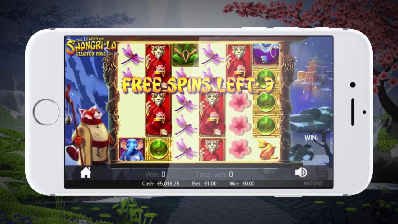 865% Best Signup Bonus Casino at Wix Stars Casino
