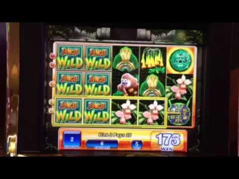 €155 No Deposit Bonus Code at YoYo Casino