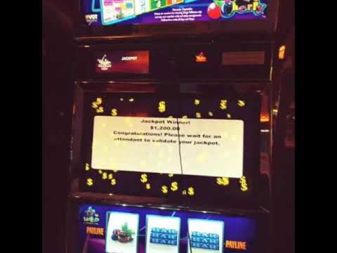 55 Loyalty Free Spins! at Dunder Casino