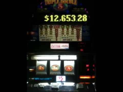 $310 Free Chip at Campo Bet Casino