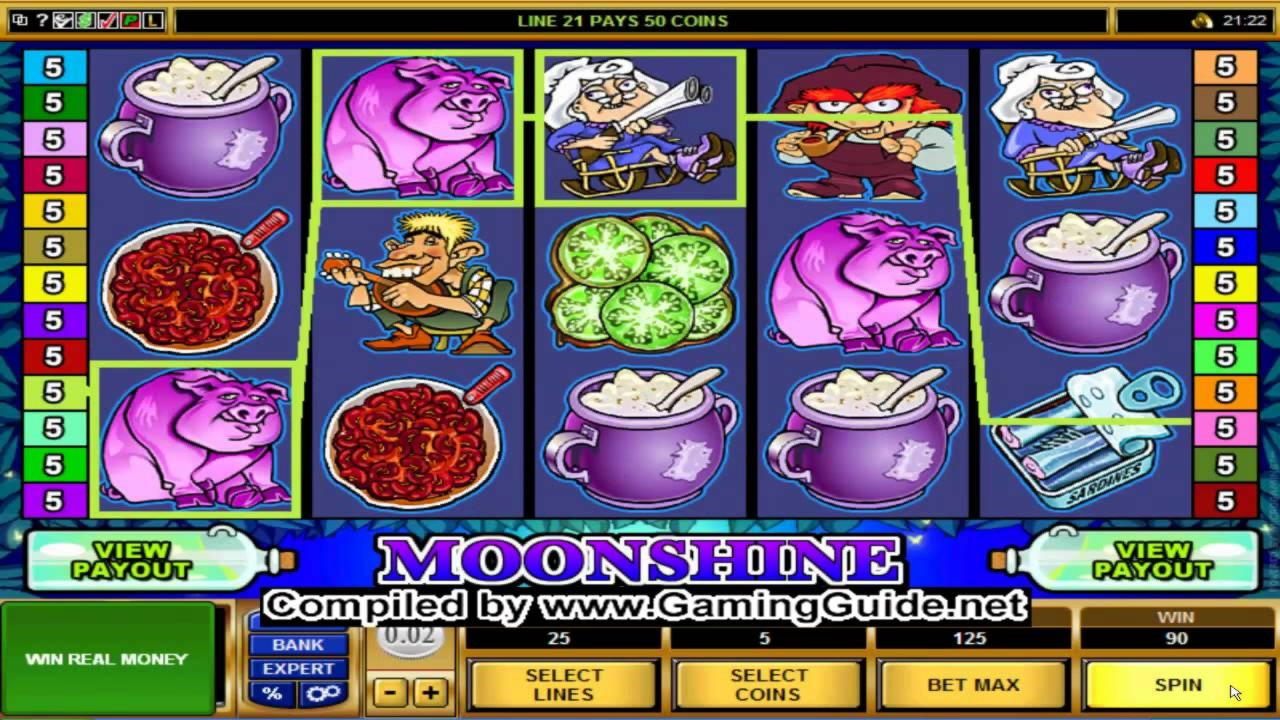 95 free spins no deposit casino at CasiPlay Casino