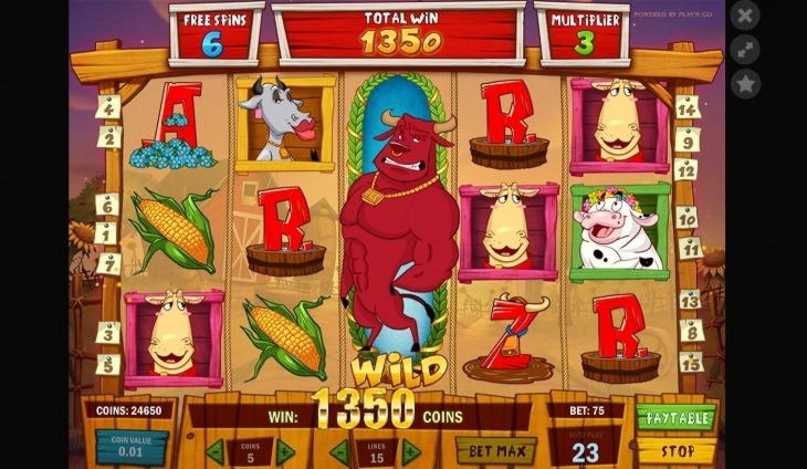 305% Best Signup Bonus Casino at Casinia Casino