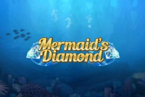 655% Casino Welcome Bonus at Campo Bet Casino