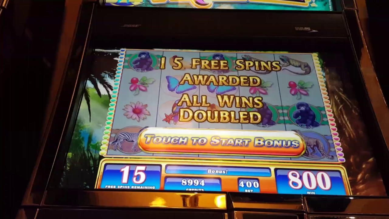44 free spins casino at Slots Million Casino