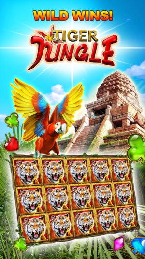 640% No Rules Bonus! at Wild Blaster Casino