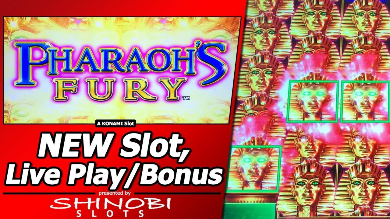 EUR 735 Casino tournaments freeroll at Casinia Casino