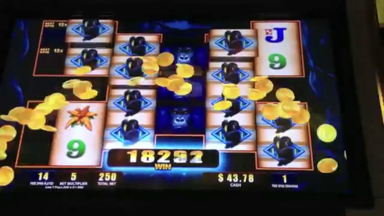 €240 No Deposit Bonus Casino at Casino com