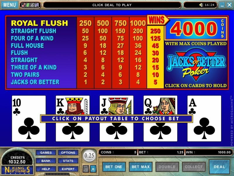 930% First Deposit Bonus at Campo Bet Casino