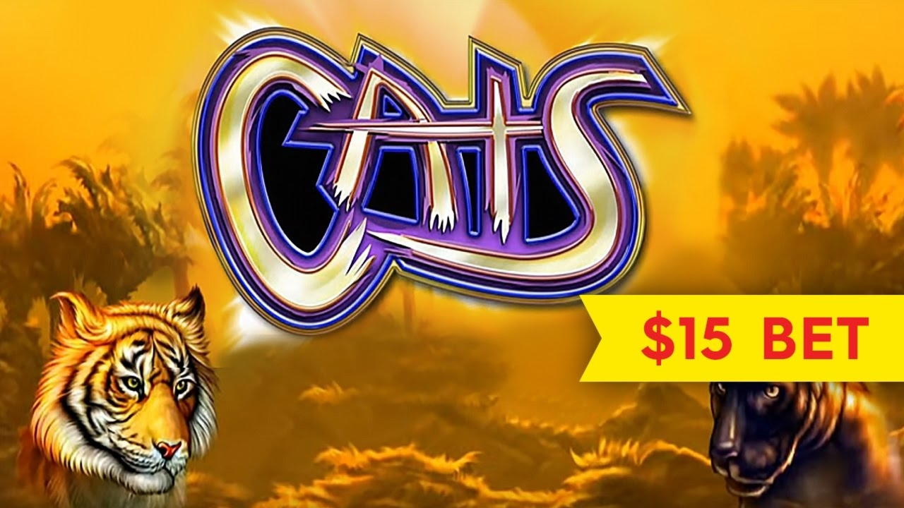 €610 Daily freeroll slot tournament at Genesis Casino