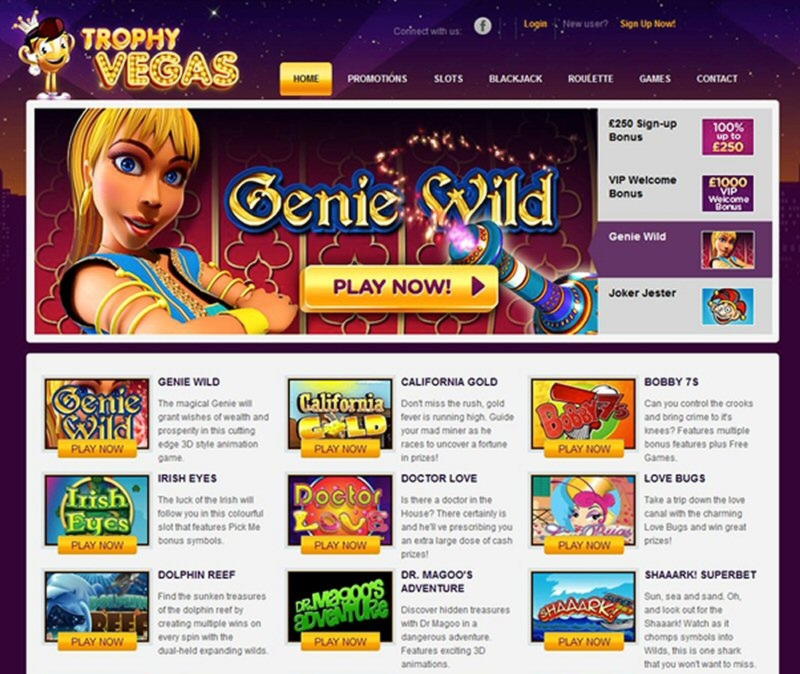 EURO 810 No deposit casino bonus at Slotty Dubai Casino