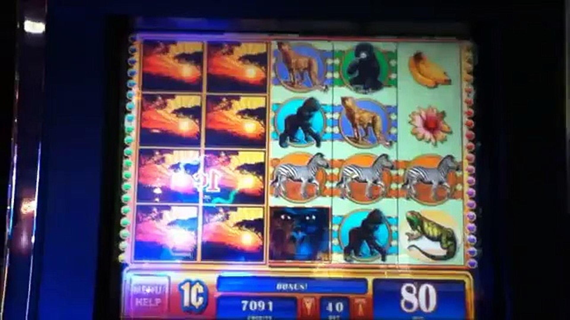 €3125 NO DEPOSIT BONUS at Party Casino