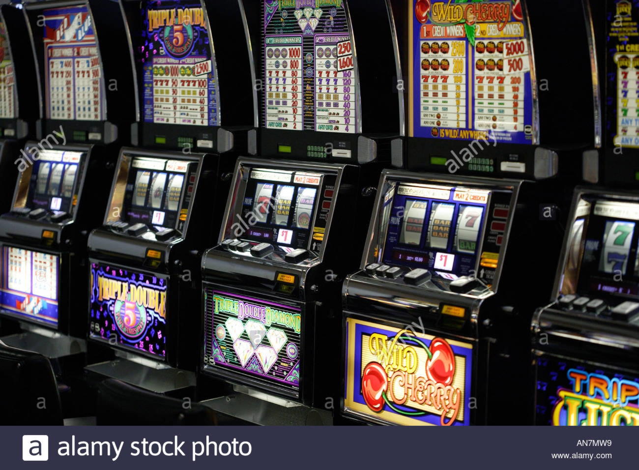 €185 Casino Chip at Wix Stars Casino