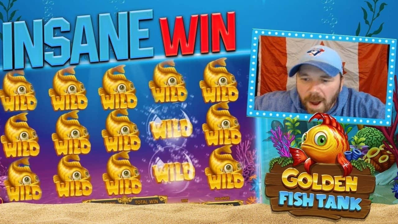 $3065 No Deposit at Casino com