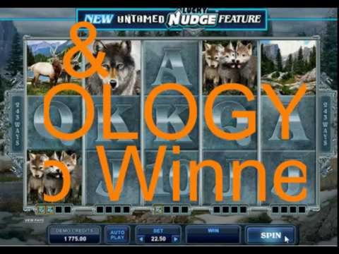 355% Match Bonus Casino at Party Casino
