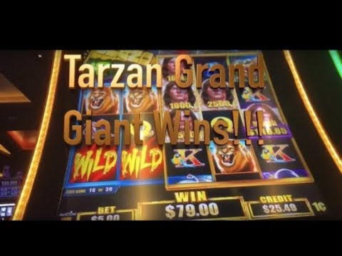 €855 Daily freeroll slot tournament at Casinia Casino