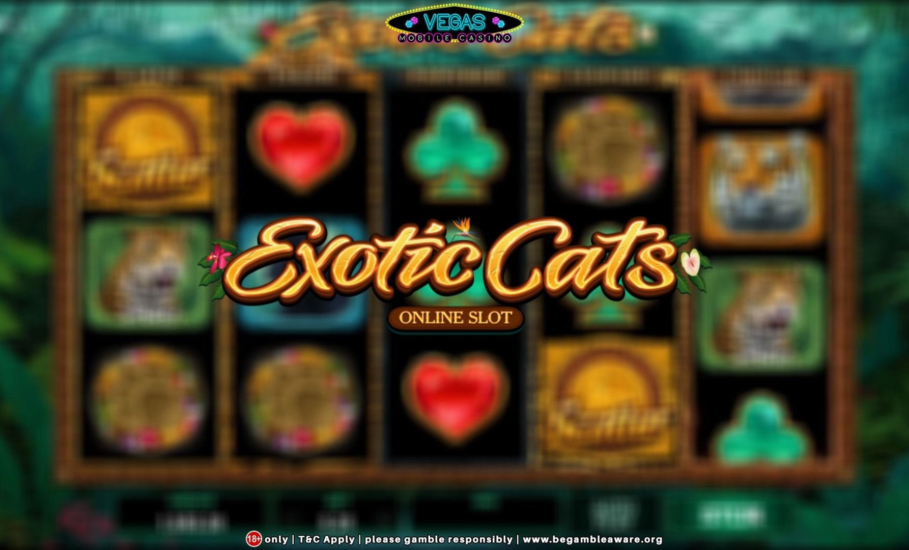€100 Daily freeroll slot tournament at Zet Casino