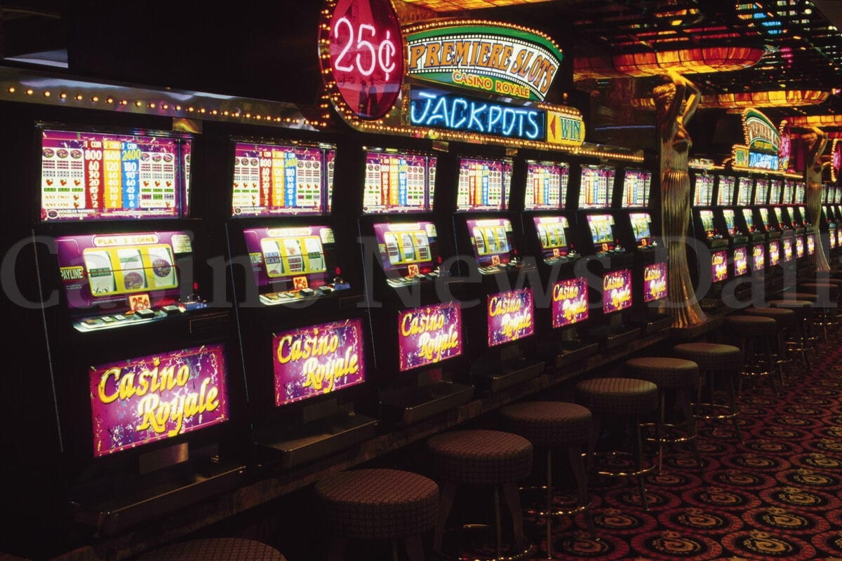 EUR 240 No Deposit Bonus Casino at Campo Bet Casino